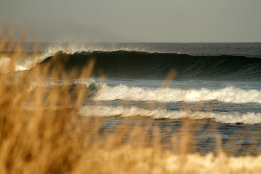 Strand Season Paradise