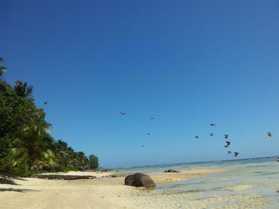 Strand bei Ebbe Villa Dorado