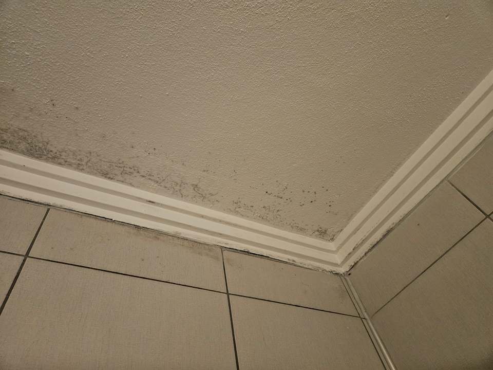 Zimmer Kamelya Aishen Club