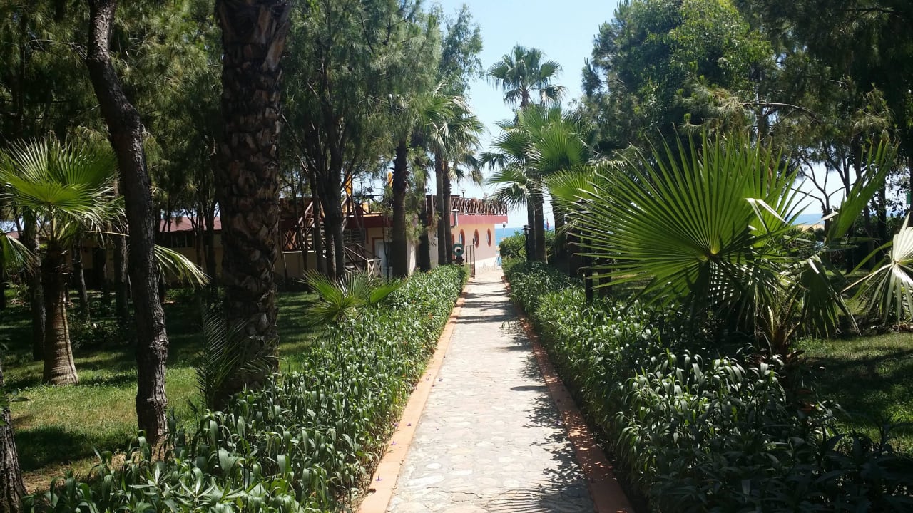 Blick vom Garten auf Strandbar Club Turtas Beach Hotel