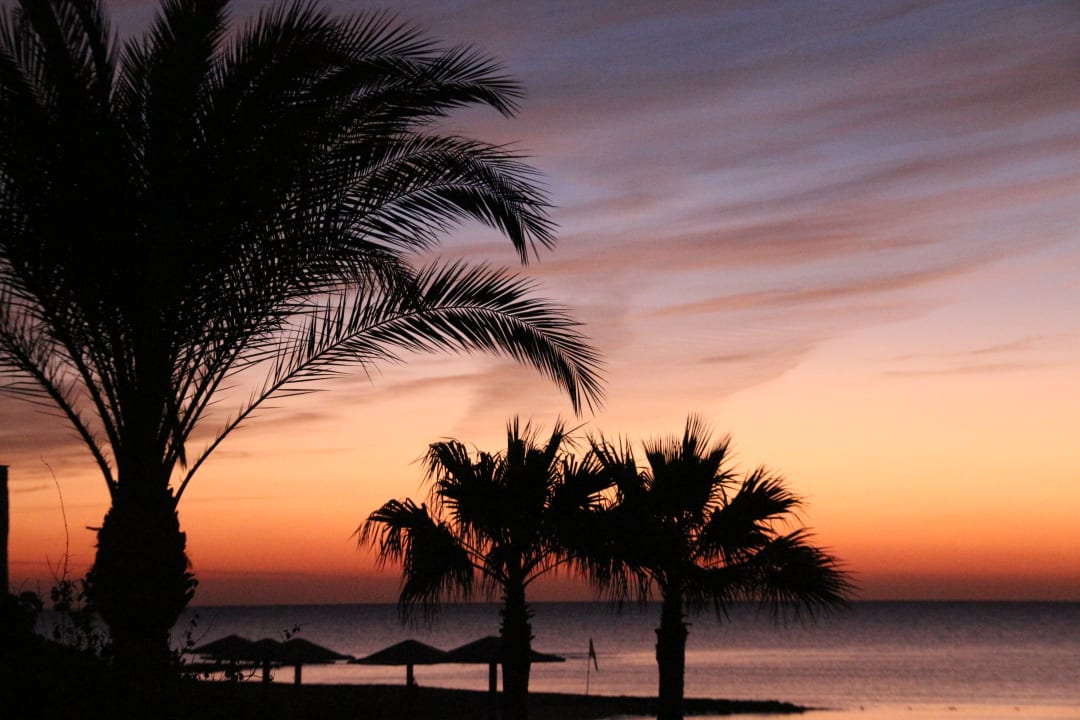 Strand Shams Prestige Abu Soma-Adults Only