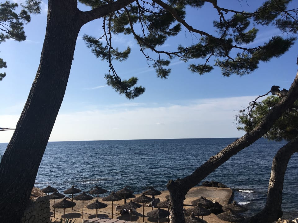 Ausblick Hipotels Eurotel Punta Rotja Golf & Spa