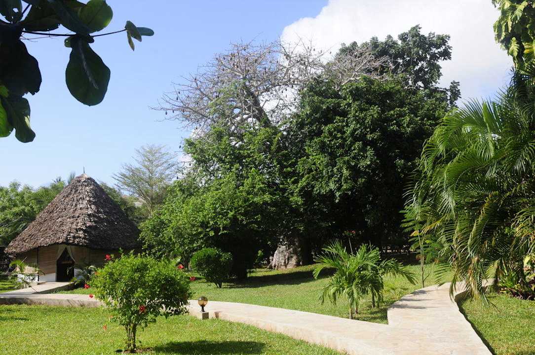 Pamelas Massage Bugalow Hotel Karibuni Rafiki Beach Resort