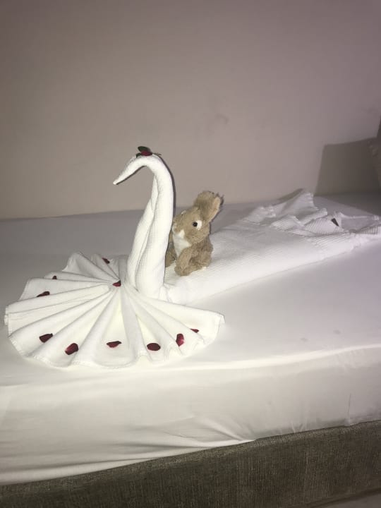 Zimmer Palmeras Beach Hotel