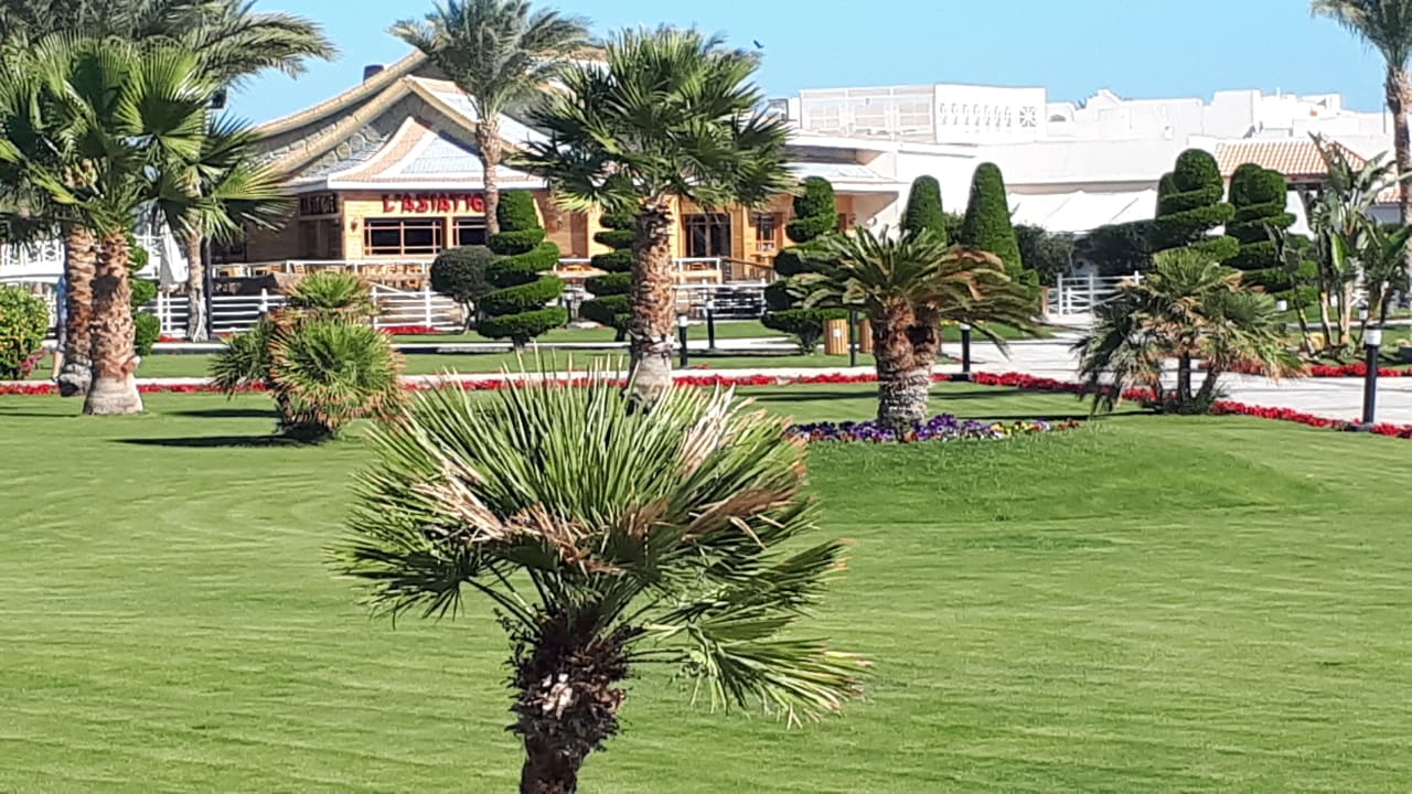 Gartenanlage Pickalbatros Dana Beach Resort - Hurghada