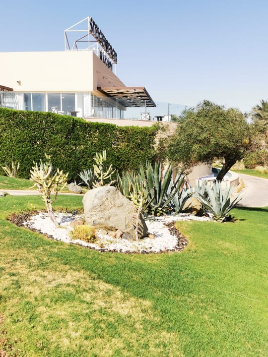 Gartenanlage Steigenberger Makadi Hotel - Adults only