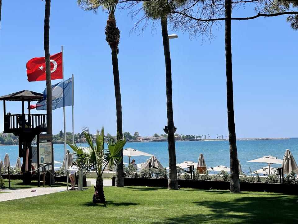 Strand Acanthus Cennet Barut Collection
