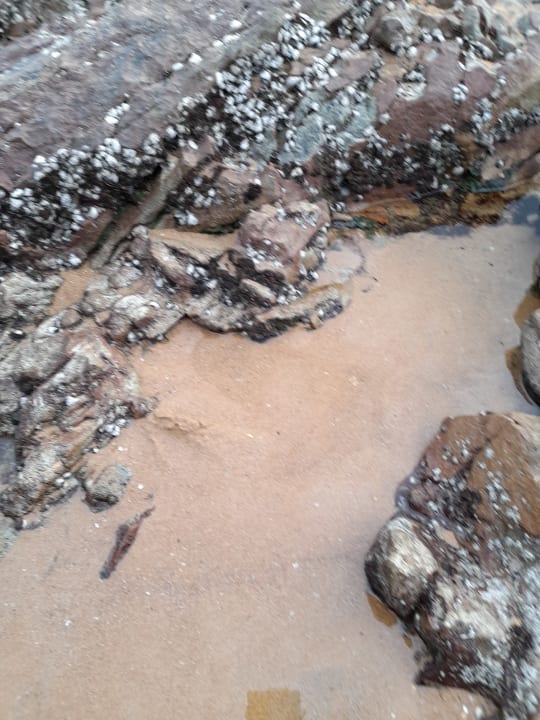 Strand Khaolak Bhandari Resort & Spa