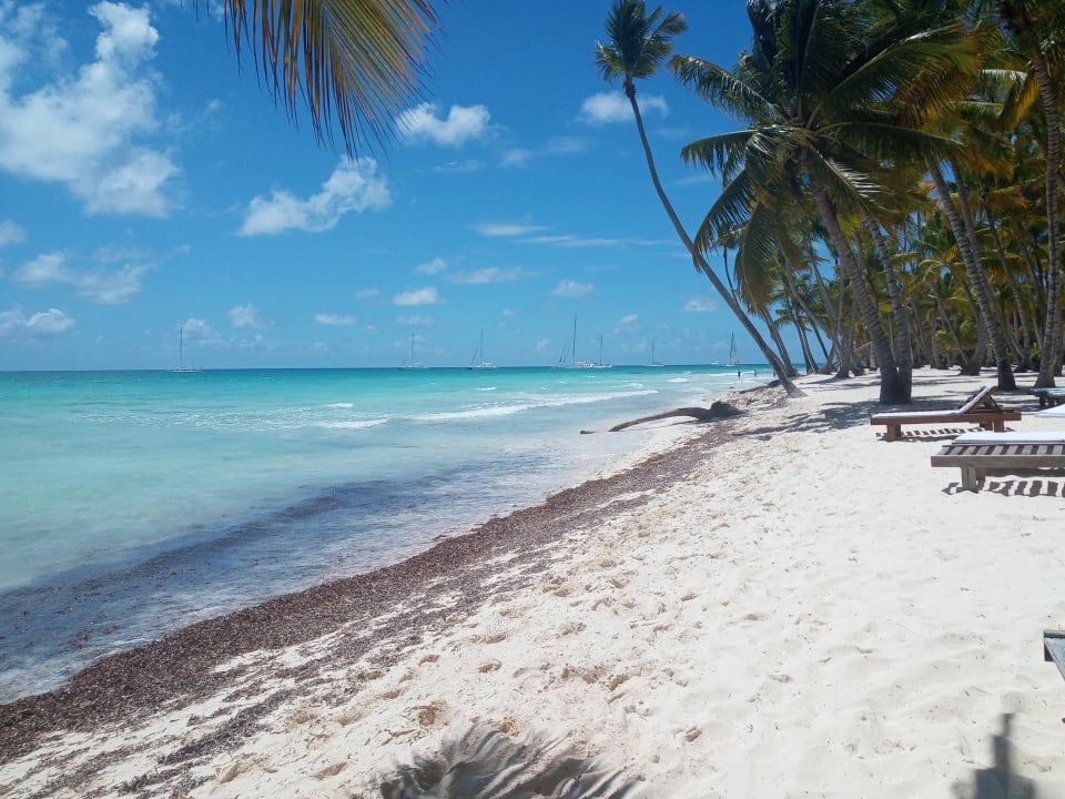 Strand Grand Palladium Select Bávaro Resort & Spa