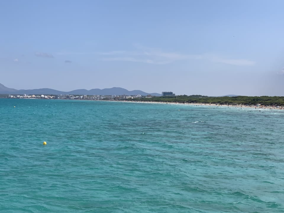 Ausblick Alcudia Garden Aparthotel