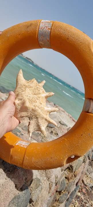 Strand Hurghada Long Beach Resort
