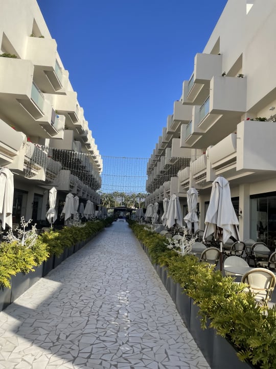 Sonstiges Maspalomas Princess & Tabaiba Princess