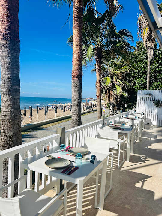 Gastro Acanthus Cennet Barut Collection