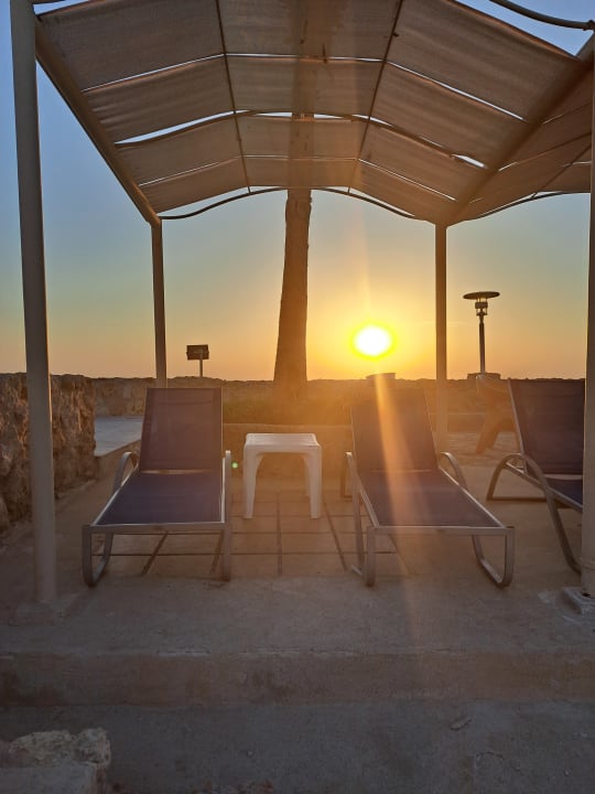 Zimmer Pickalbatros Citadel Resort