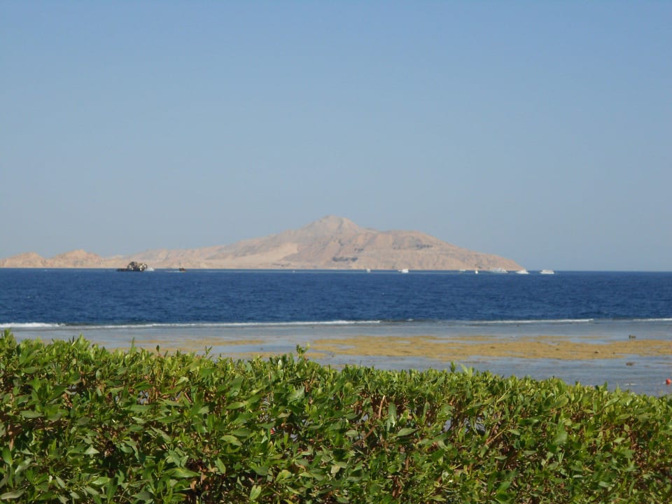 Blick vom Strand Charmillion Sea Life Resort