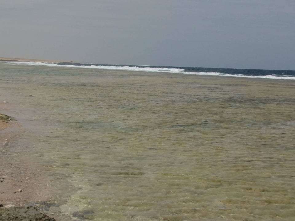 Der nicht so berauchende Strand Three Corners Sea Beach Resort