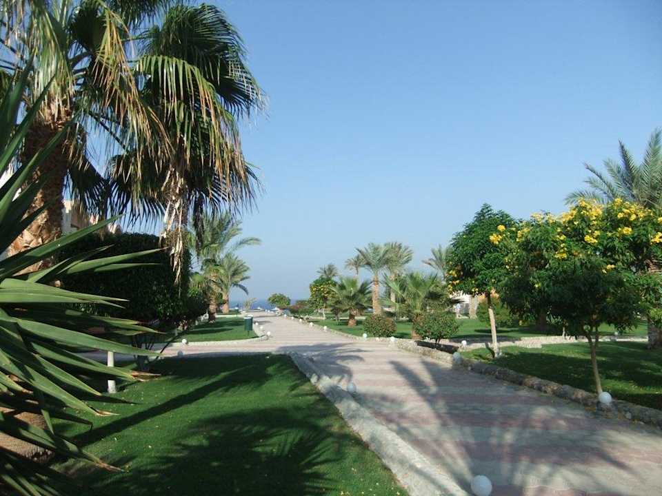 Gartenanlage wunderbar grün Three Corners Sea Beach Resort
