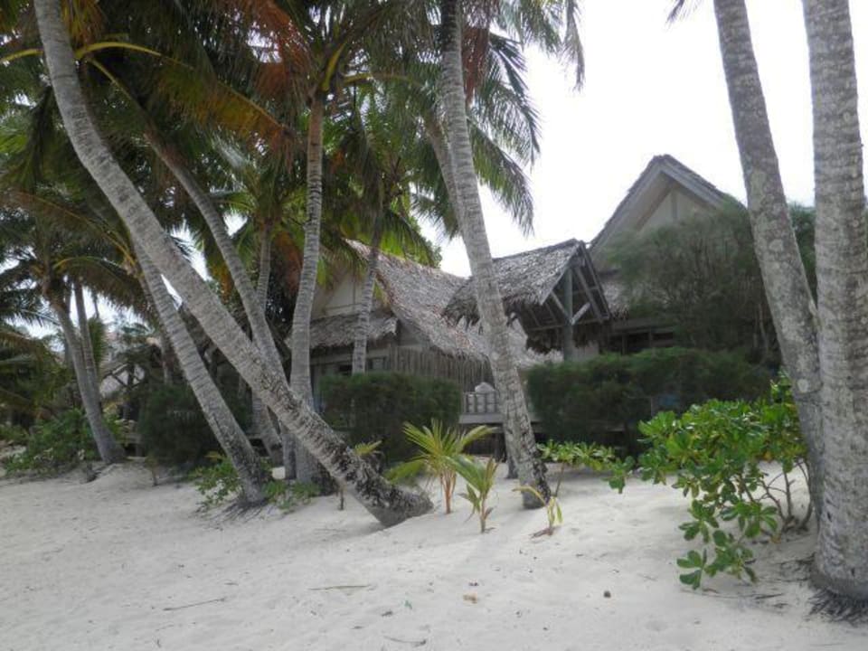 Die Bungalows  Hotel Little Polynesian
