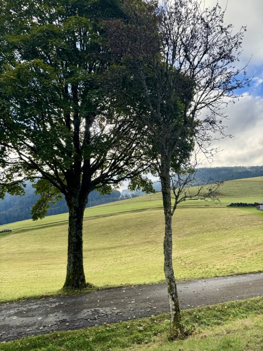 Außenansicht derWaldfrieden naturparkhotel