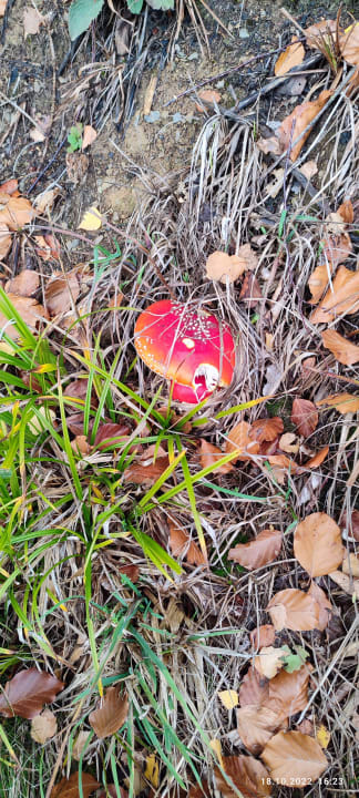 Ausblick Berghotel Hoher Knochen