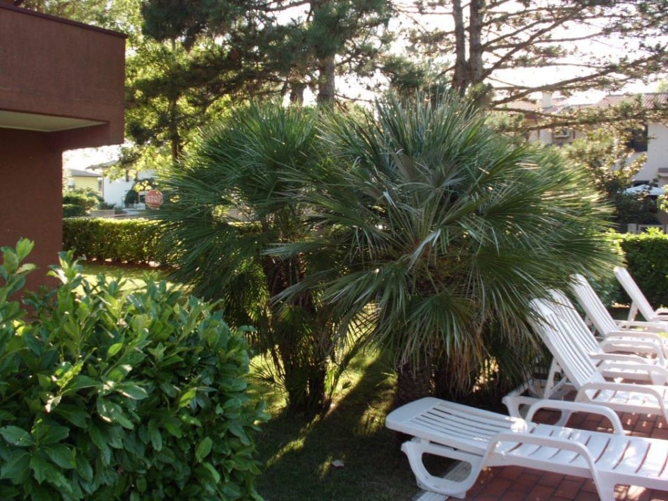 Palmen Hotel Delle Orchidee Villaggio