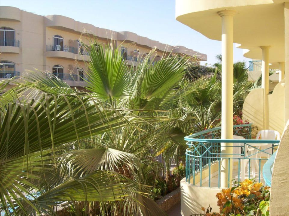 Widok części hotelu balkonu Bella Vista Resort Hurghada