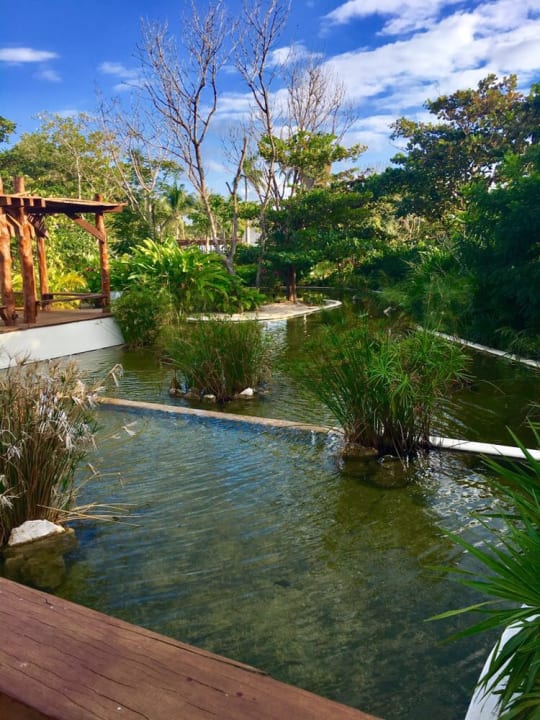 Teichanlage Secrets Akumal Riviera Maya - Adults only