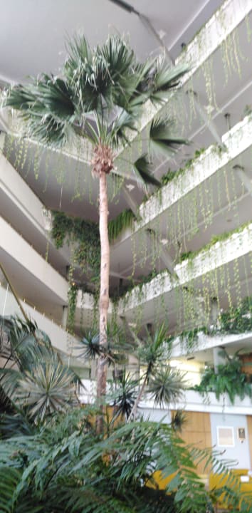 Lobby Hotel Grand Teguise Playa