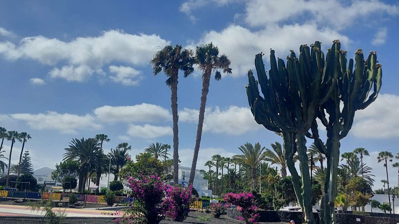 Gartenanlage Hotel Riu Paraiso Lanzarote