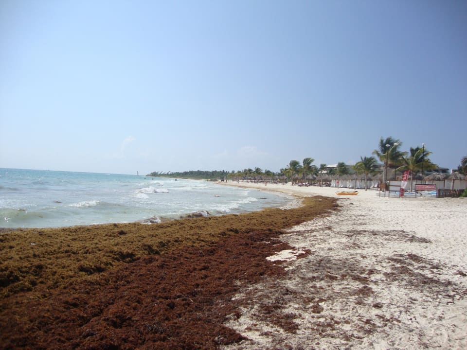 Neidischer Blick zu den Nachbarn Catalonia Playa Maroma