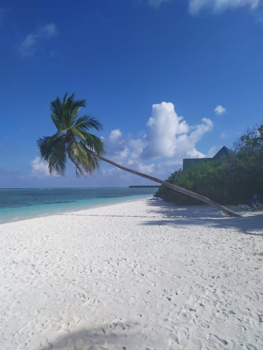 Strand Meeru Maldives Resort Island