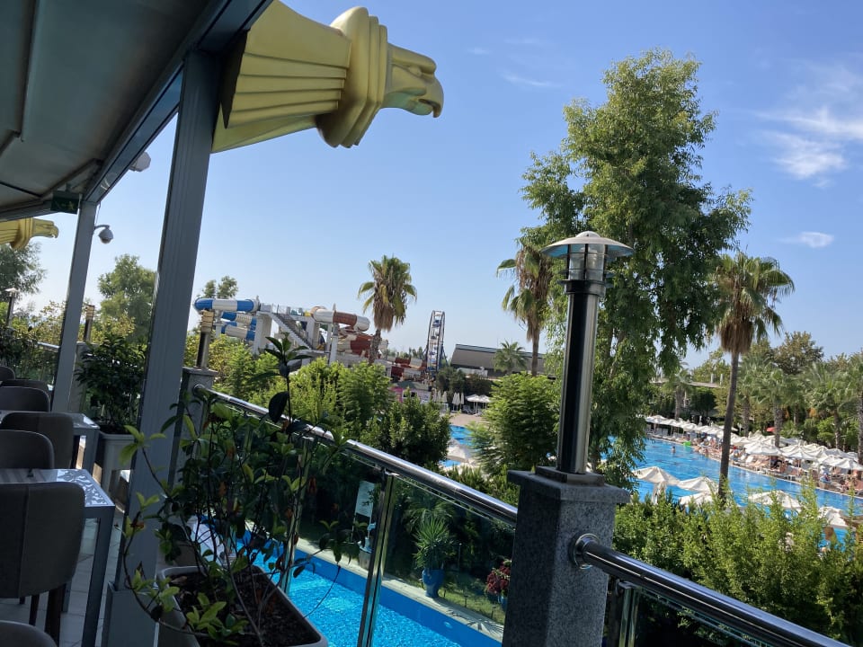 Pool Hotel Delphin Imperial