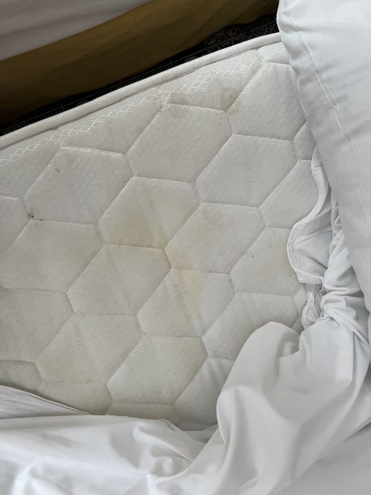 Zimmer Club Hotel Anjeliq