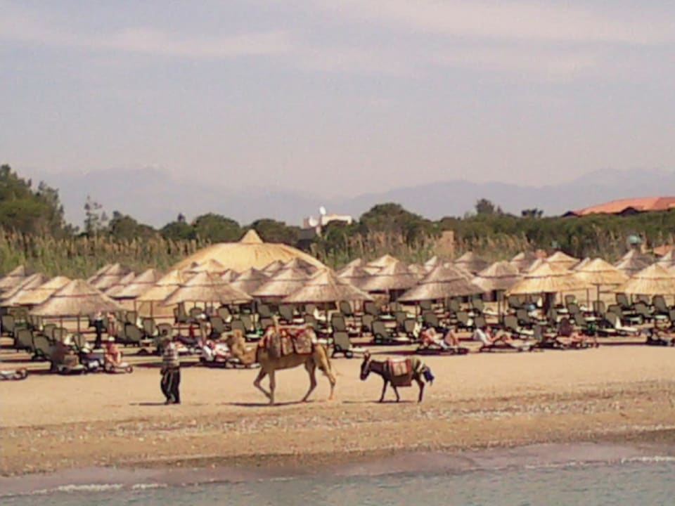 Am Strand Gloria Serenity Resort