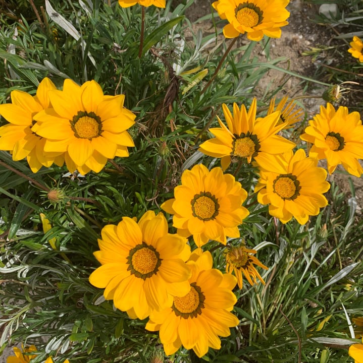 Gartenanlage Melas Holiday Village