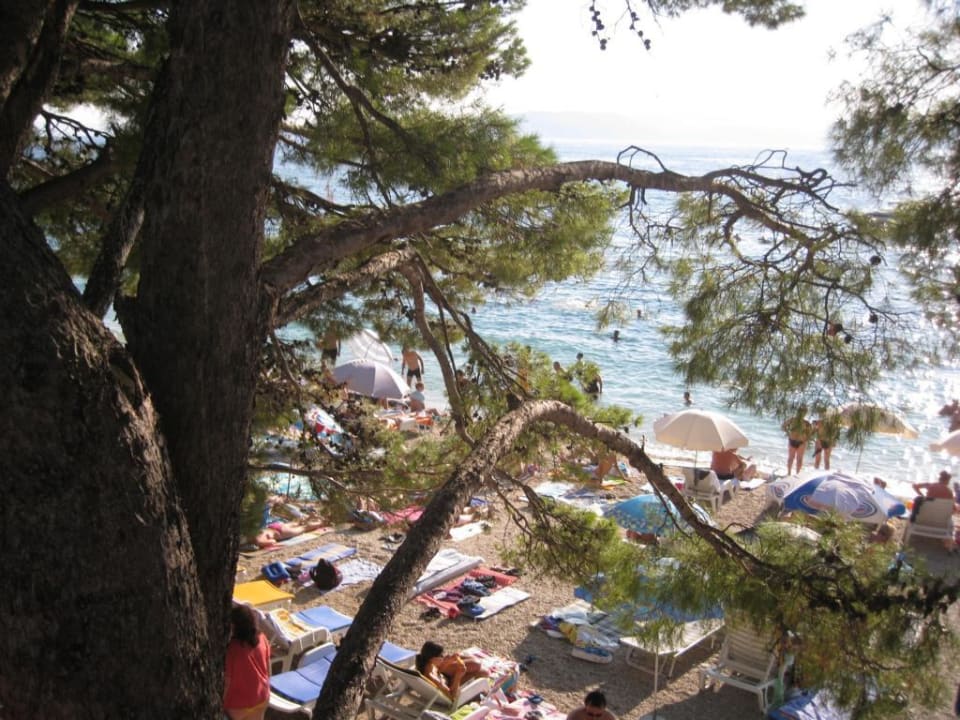 Strand Villa Bacchus