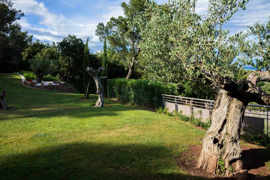 Jardin L'Hotellerie Kouros