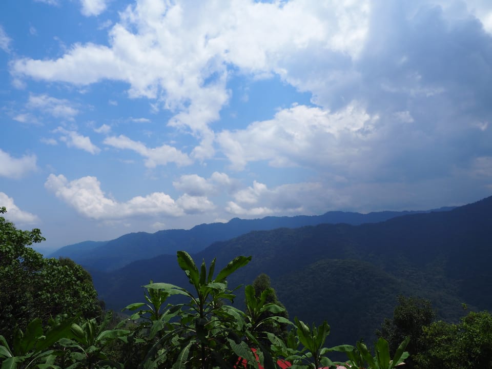 Ausblick Nkuringo Bwindi Gorilla Lodge