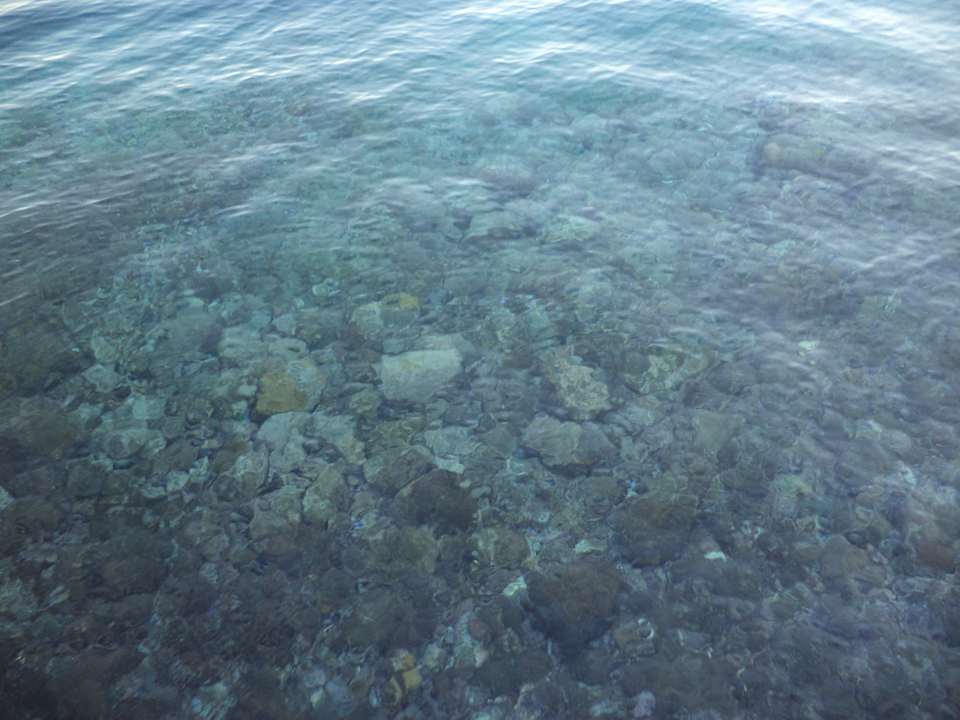 Вот такая чистая вода в бухте SUNRISE Holidays Resort (Adults Only)