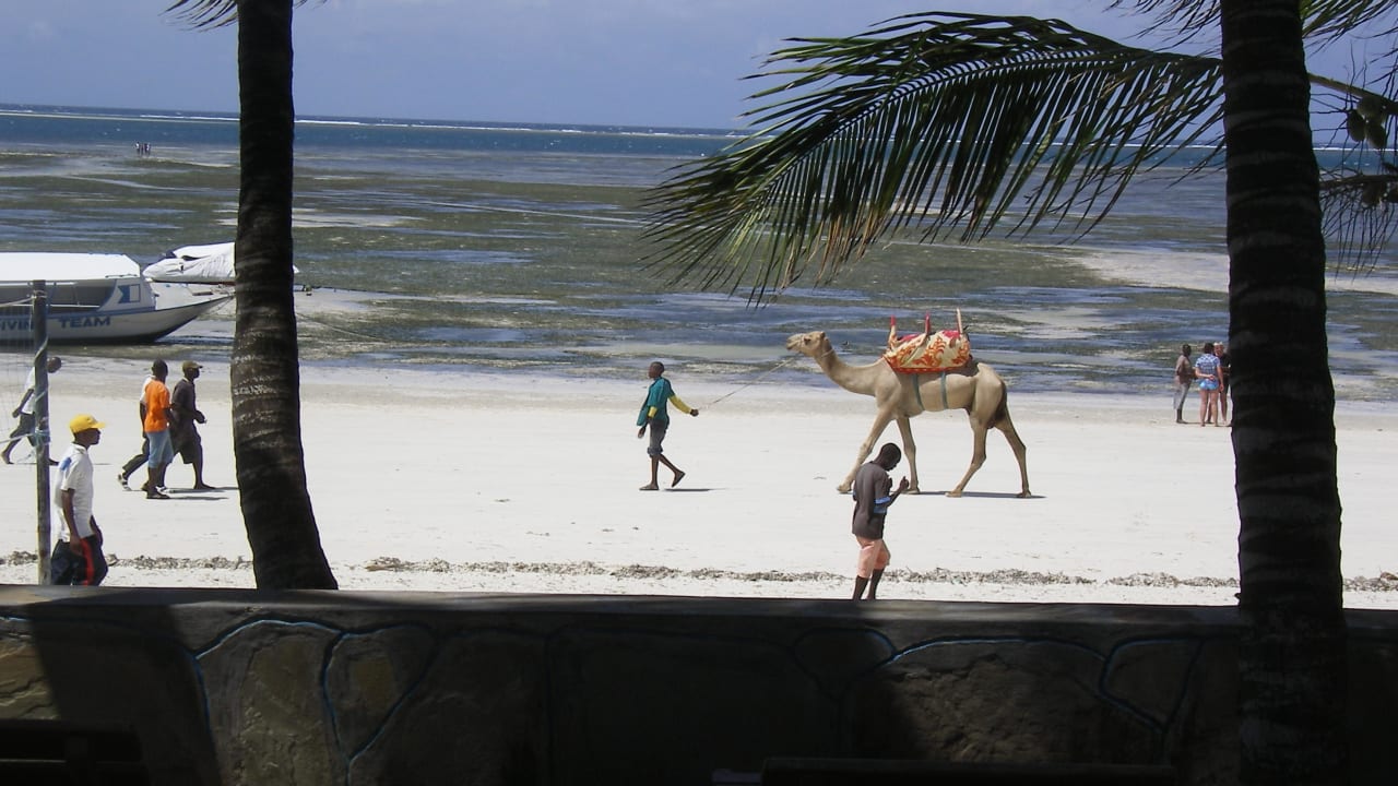 Strand Hotel Traveller's Club