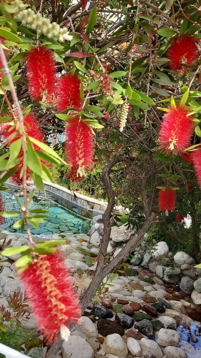 Garten Club Grand Aqua