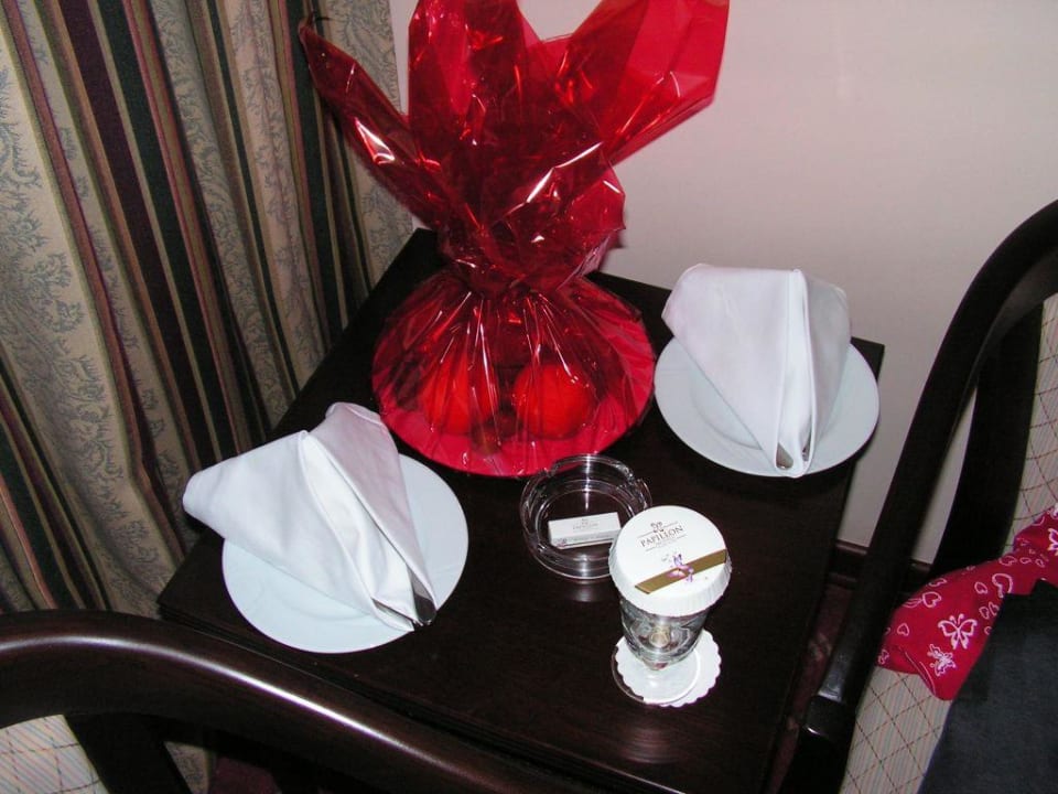 Nette Begrüßung Papillon Ayscha