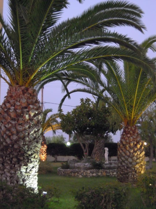 Palmen wohin man blickte Corali Hotel