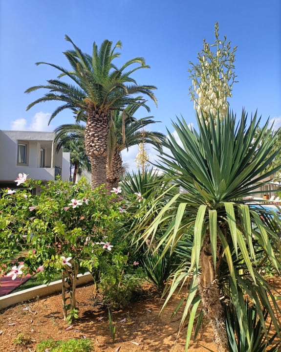 Gartenanlage HARPIN Georgioupolis Resort Aquapark & SPA