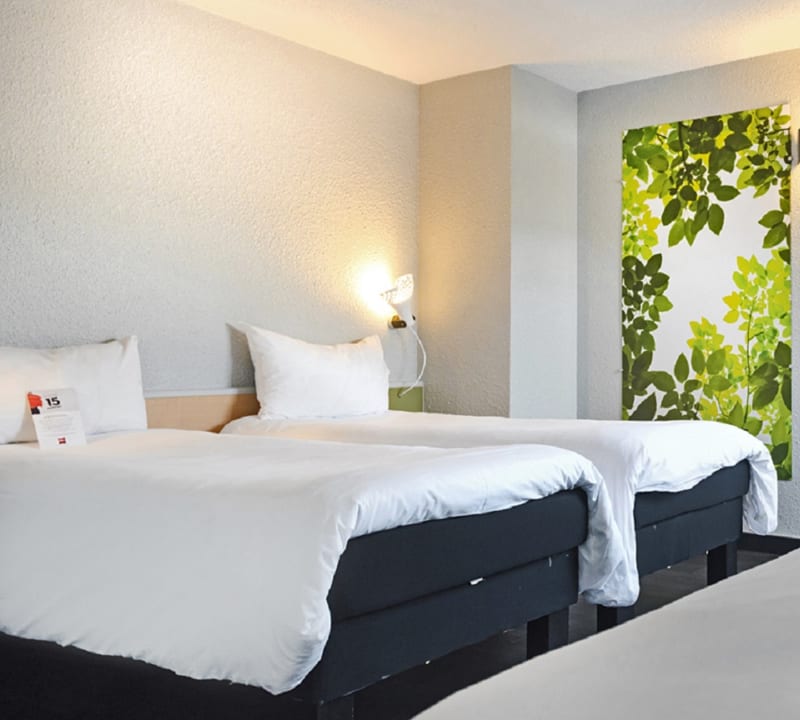 Zimmer Hotel Ibis Strasbourg Sud La Vigie