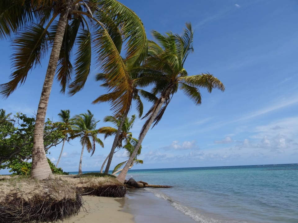 Grand Bahia Principe El Portillo Bahia Principe Grand El Portillo