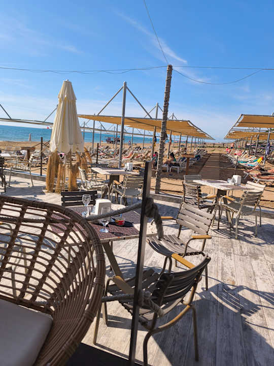 Strand Seashell Vega