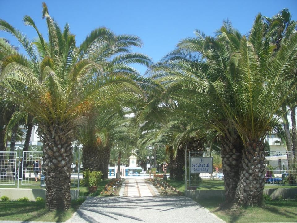 Strandweg Süral Saray Hotel