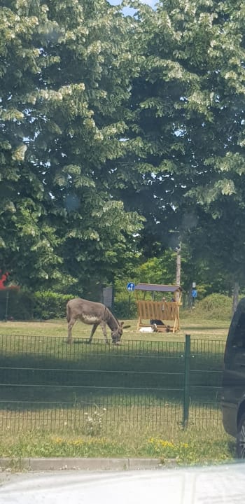 Sonstiges Center Parcs Park Hochsauerland