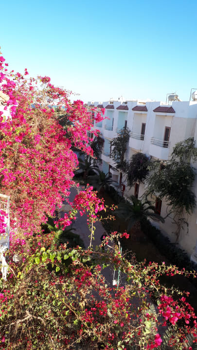 Ausblick Minamark Beach Resort & Spa